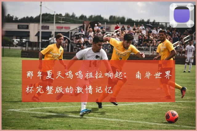 那年夏天呜呜祖拉响起：南非世界杯完整版的激情记忆
