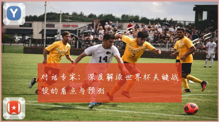 对话专家：深度解读世界杯关键战役的看点与预测
